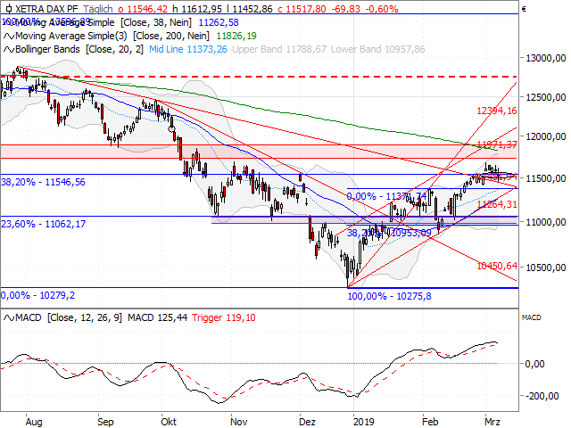 Daily Trading