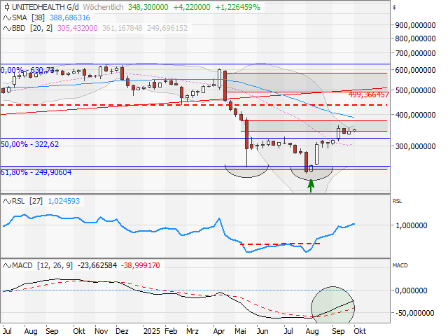 Chart UnitedHealth Group